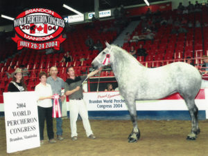 Madison- World Champion mare