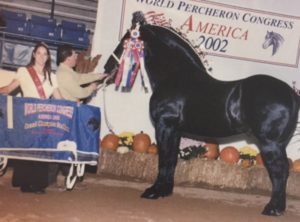 Blue Ribbon Farms Hercules